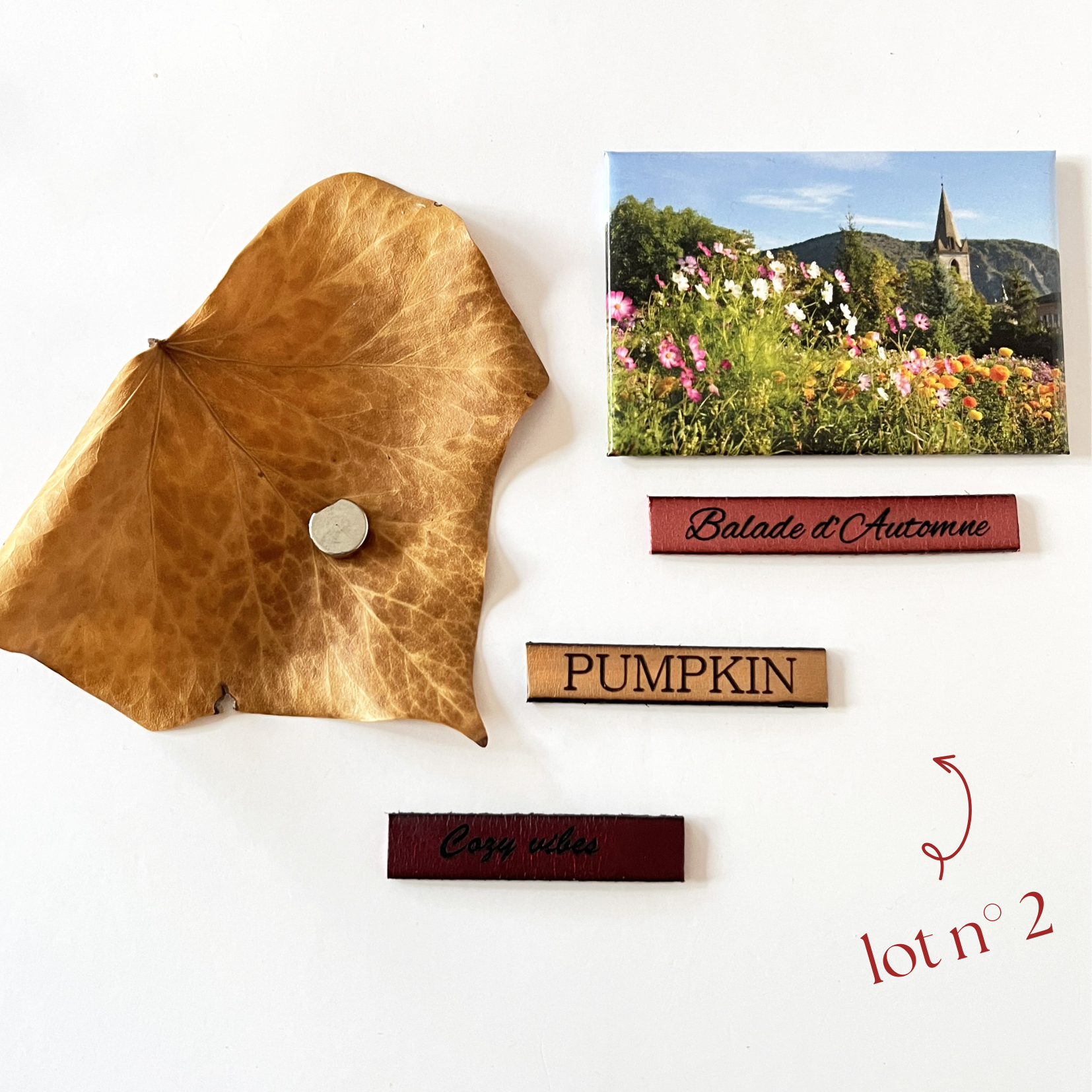 Ensemble magnets en cuir gravé thème automne 