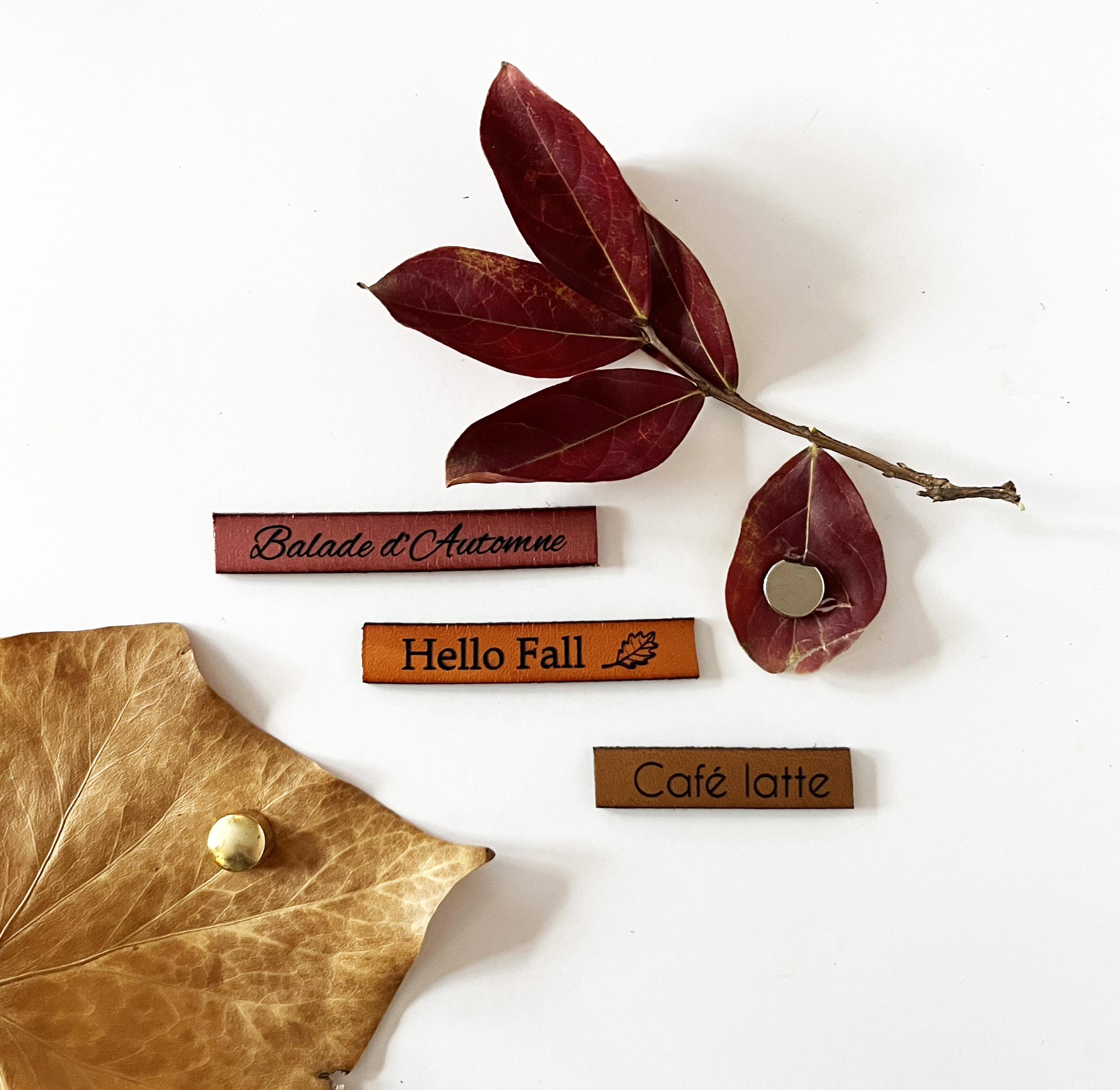 Ensemble magnets en cuir gravé thème automne 